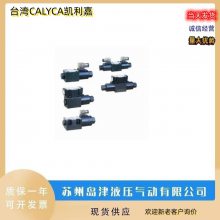 ̨CALYCAεŻDSA-03-2B2L-A110Һ