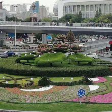 �G��Ʒ������Щ��ֲ��󻨻@�G�񴺹�(ji��)�ؼҵ���