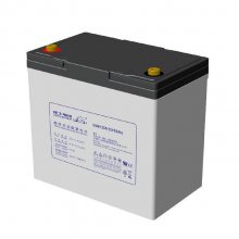 LEOCH DJM1250S ʿ12V50AH ֱUPS/EPSԴ