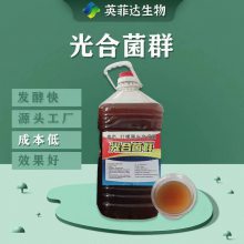 水产常用有益菌 光合细菌 免扩培 降氨氮 净化水质