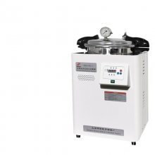 갲 DSX-30L-I ʽʵѹ