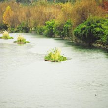 常州市高效生态浮岛工艺 设计方案 生态浮岛案例