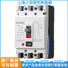 上海人民透明塑壳漏电保护器断路器DZ20L-160/4300工地断路器400A