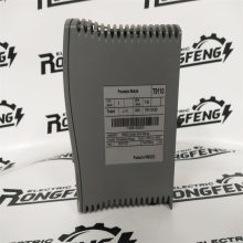 ICS TRIPLEX T8431 ϵͳ