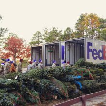ʿ Fedex ˷˫˰