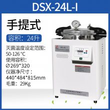 갲 DSX-30L-I ʽʵѹ