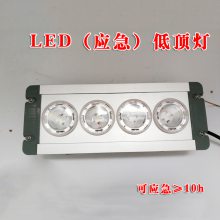 NFC9121픟XϽwled픟 ׃վ늷ɑ(yng)픟