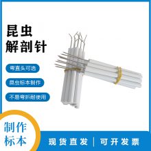 不锈钢昆虫解剖针 昆虫解剖制作标本常用工具 弯直头