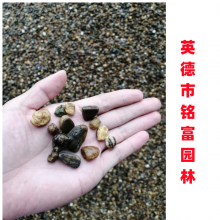  ǻʯʯЧأ