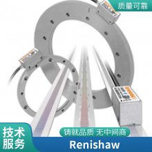 Renishaw雷尼绍光栅尺现货-超高精度 一体化数字增量式光栅