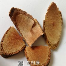 中药材当归藤功效作用 大力王、筛其蔃、虎尾草、土当归、保妇蔃、走马胎、土丹桂、小箭赶风、米筛藤