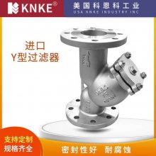 进口Y型过滤器 防止颗粒性杂质进入通道 KNKE科恩科品牌