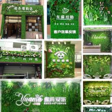 广州丰草人造景观花草墙公司文化塑料绿植背景墙仿真绿化植物墙
