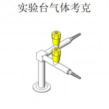 ʵ ʵ忼 ̩