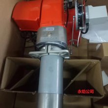 百得TBG210P燃气燃烧机 210万大卡 双段火自动转换