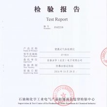 ЯʽǼ鱨