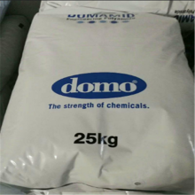 PA6 ¹DOMO 6G30UV ȶ