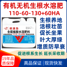 有助促进爆发式生根水溶肥料生根原液冲施肥小麦生根分蘖用生根肥