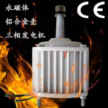 小型水力發(fā)電機(jī)500w 三相交流永磁 低轉(zhuǎn)速起扭矩小