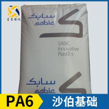 SABIC 沙伯基础 PA6 PB006EQ 尼龙6 聚酰胺6