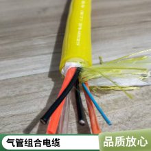 防水 耐腐蚀 导气管线 液位变送器电缆 导气探测电线 液位计线