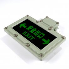 ־-AC220v-5W-Ӧ60min-IP65---ȫ