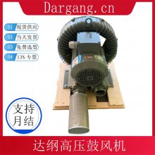 DG-300-16Wʽ