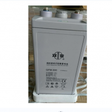 ˫ ܱʽǦ GFM-300 (C10)