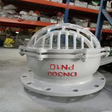 H42X-10 DN250  ˮˮ׷
