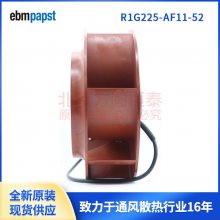 R1G225-AF11-21  R1G225-AF11-52 ¹ebmpapstֱ