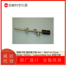 Ion Guns Model 1403Cs C Cesium/Alkali Ions ǹ߿ɵ