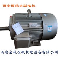 供应优质YE2-355M2-10 110KW 380V IP55西玛电机 风机水泵等工业通用