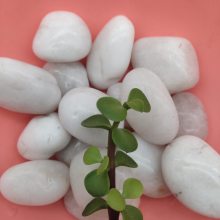 洛阳永顺供货商品质优良5-8厘米白色鹅卵石