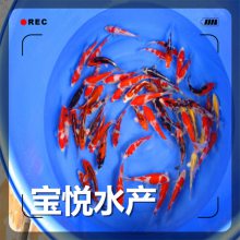 ֽ緱ֳ