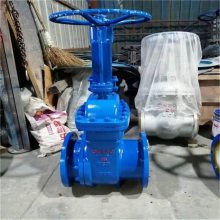 ҵר PZ41TC-16C մ բ ֲ  DN300