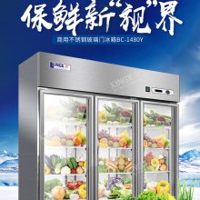 星星厨房冰箱饮料冷藏柜展示柜立式冰柜玻璃门双门三门商用大容量