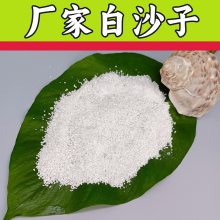 儿童乐园用白沙子 园林绿化白沙子 多规格雪花白 厂家供应