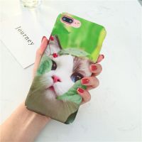 可爱猫咪卡通苹果x个性保护壳iPhone7/8plus全包绿叶6s创意手机壳