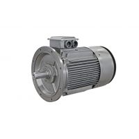 泰富西玛变频电机YJTG/YVFE2-3552-4 375KW 大外圆 380V低压全系列供货