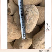 规格较大鹅卵石多少 上海鹅卵石 大型鹅卵石可以上墙吗