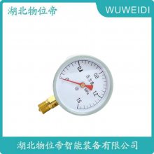Y-100A-Z Y-101A-Z Һѹ ֿѹ WWD 