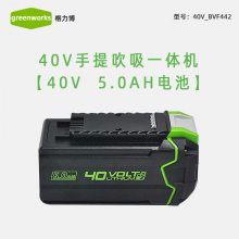 greenworks格力博电池充电器配件40V通用充电器40V电池4Ah/5Ah