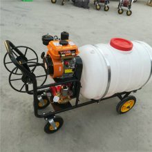 烟台高压喷雾器 拉管汽油打药机 手推式400L大容量打药机