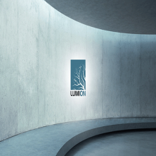 Lumionӻ_רҵԱİLumionɹ
