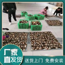 宁夏五味子干燥设备 西安圣达烘干机 接电即可用