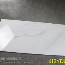 ǰʿ׾ʿ600X1200ͨʯש