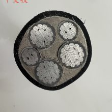 ZRC-YJLV3x185+1*95оܿյߵ