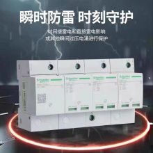 ʩ͵ӿiPRU 20 1PN 65KA 350Vײʽ