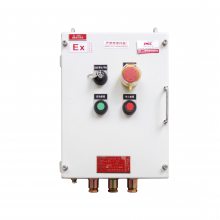 如何选择榨菜厂腌制区用防爆柜？