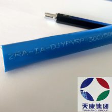 安徽天康供应WDZ-IA-DJYPYP 1x2x0.5低烟无卤阻燃本安仪表通信电缆本安型计算机电缆